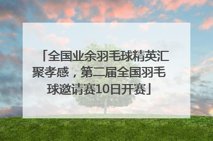 全国业余羽毛球精英汇聚孝感，第二届全国羽毛球邀请赛10日开赛