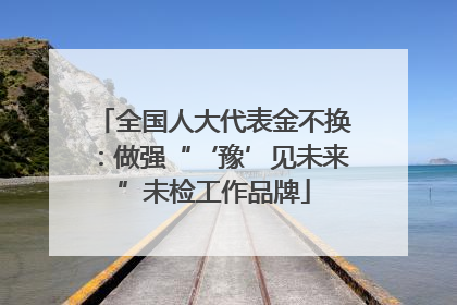 全国人大代表金不换：做强“‘豫’见未来”未检工作品牌