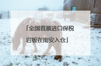 全国首票进口保税岩板在南安入仓