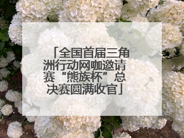 全国首届三角洲行动网咖邀请赛“熊族杯”总决赛圆满收官