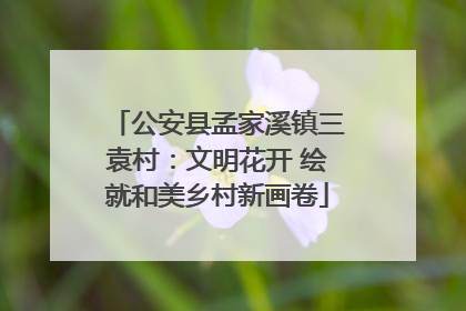 公安县孟家溪镇三袁村：文明花开 绘就和美乡村新画卷