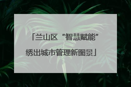 兰山区“智慧赋能”绣出城市管理新图景