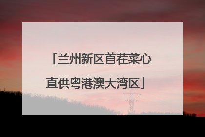 兰州新区首茬菜心直供粤港澳大湾区