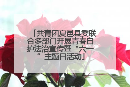 共青团夏邑县委联合多部门开展青春自护法治宣传暨“六一”主题日活动