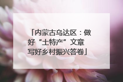 内蒙古乌达区：做好“土特产”文章 写好乡村振兴答卷
