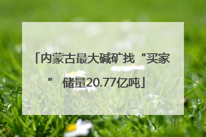 内蒙古最大碱矿找“买家” 储量20.77亿吨