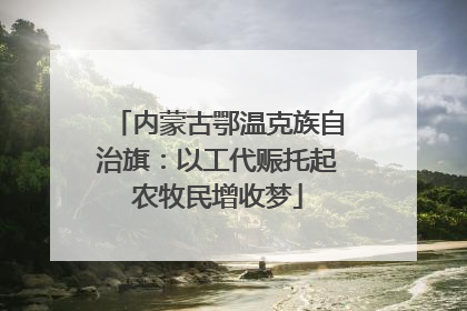 内蒙古鄂温克族自治旗：以工代赈托起农牧民增收梦
