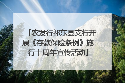 农发行祁东县支行开展《存款保险条例》施行十周年宣传活动