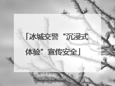 冰城交警“沉浸式体验”宣传安全