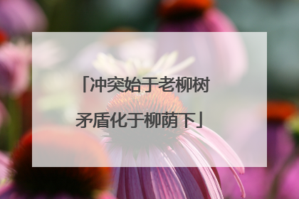 冲突始于老柳树 矛盾化于柳荫下