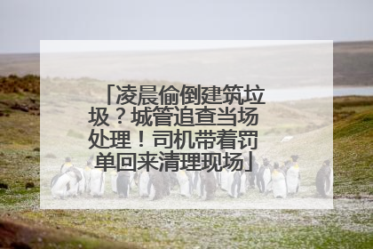 凌晨偷倒建筑垃圾？城管追查当场处理！司机带着罚单回来清理现场
