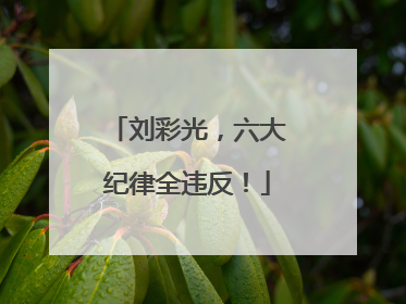 刘彩光，六大纪律全违反！