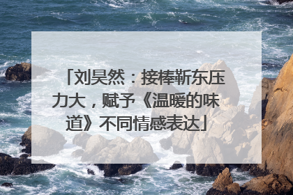 刘昊然：接棒靳东压力大，赋予《温暖的味道》不同情感表达