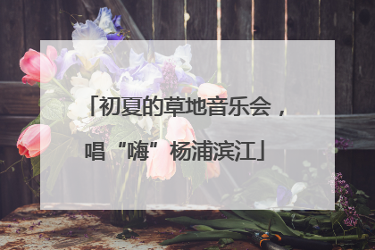 初夏的草地音乐会，唱“嗨”杨浦滨江