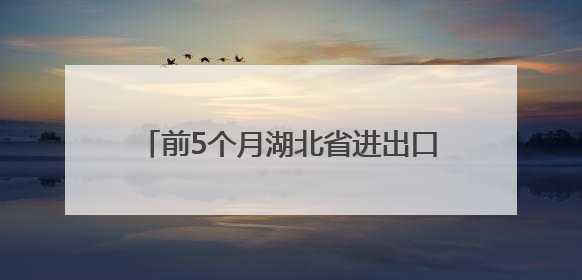 前5个月湖北省进出口同比增长26.9%