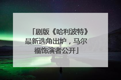 剧版《哈利波特》最新选角出炉，马尔福饰演者公开