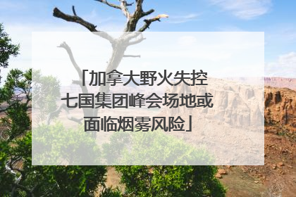 加拿大野火失控 七国集团峰会场地或面临烟雾风险