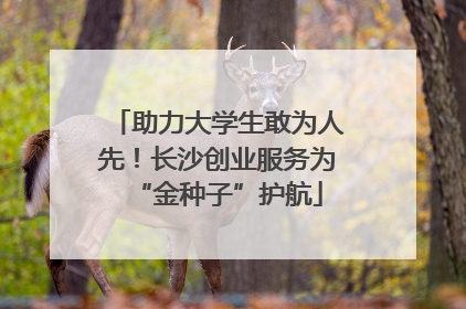 助力大学生敢为人先！长沙创业服务为“金种子”护航