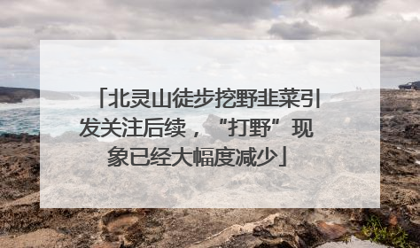 北灵山徒步挖野韭菜引发关注后续，“打野”现象已经大幅度减少