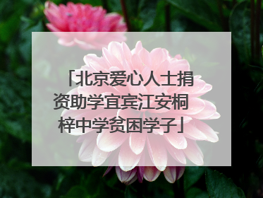 北京爱心人士捐资助学宜宾江安桐梓中学贫困学子