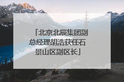 北京北辰集团副总经理胡浩获任石景山区副区长