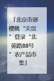 北京市郊樱桃“尖货”登录“北苑路88号”农产品市集