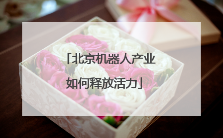 北京机器人产业如何释放活力