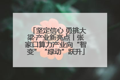 坚定信心 勇挑大梁·产业新亮点丨张家口算力产业向“智变”“绿动”跃升