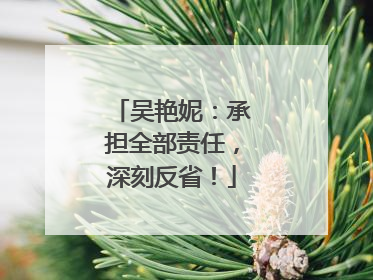 吴艳妮：承担全部责任，深刻反省！