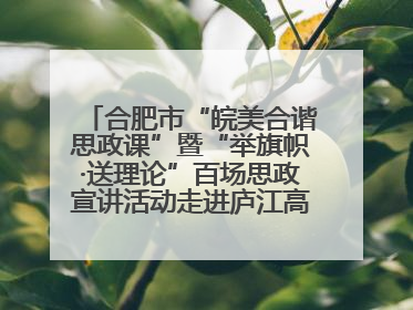合肥市“皖美合谐思政课”暨“举旗帜·送理论”百场思政宣讲活动走进庐江高新实验学校