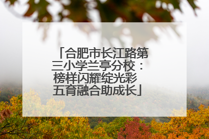 合肥市长江路第三小学兰亭分校：榜样闪耀绽光彩 五育融合助成长