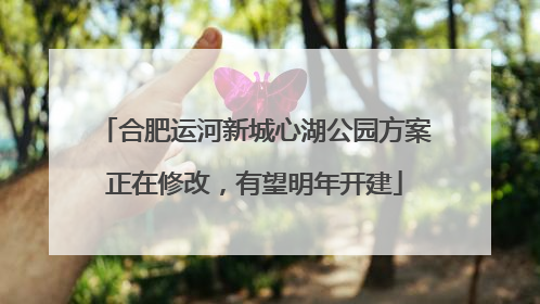 合肥运河新城心湖公园方案正在修改，有望明年开建