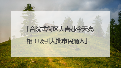 合院式街区大吉巷今天亮相！吸引大批市民涌入