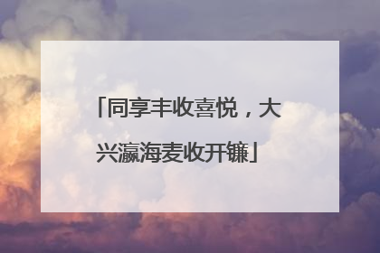 同享丰收喜悦，大兴瀛海麦收开镰