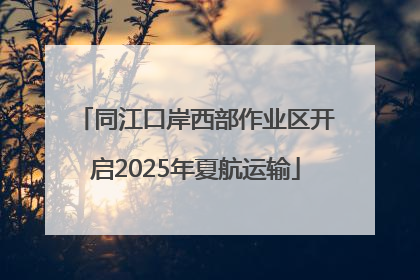 同江口岸西部作业区开启2025年夏航运输