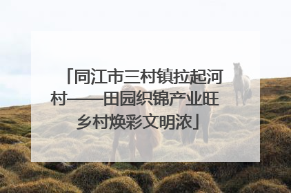 同江市三村镇拉起河村——田园织锦产业旺 乡村焕彩文明浓