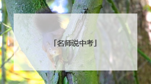名师说中考