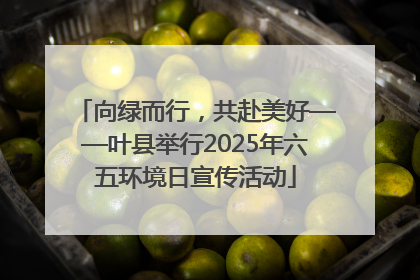 向绿而行，共赴美好——叶县举行2025年六五环境日宣传活动