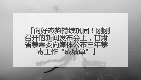 向好态势持续巩固！刚刚召开的新闻发布会上，甘肃省禁毒委向媒体公布三年禁毒工作“成绩单”
