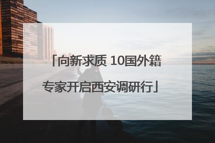 向新求质 10国外籍专家开启西安调研行