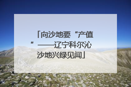 向沙地要“产值”——辽宁科尔沁沙地兴绿见闻