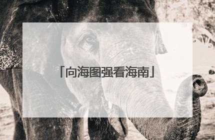 向海图强看海南