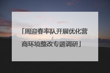 周迎春率队开展优化营商环境整改专题调研