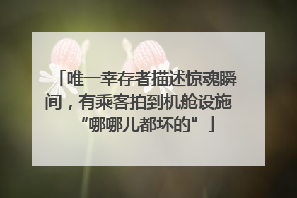 唯一幸存者描述惊魂瞬间，有乘客拍到机舱设施“哪哪儿都坏的”
