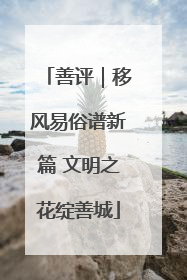 善评｜移风易俗谱新篇 文明之花绽善城
