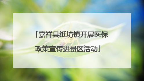 嘉祥县纸坊镇开展医保政策宣传进景区活动