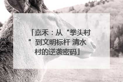 嘉禾：从“拳头村”到文明标杆 清水村的逆袭密码