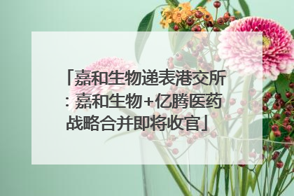 嘉和生物递表港交所：嘉和生物+亿腾医药战略合并即将收官