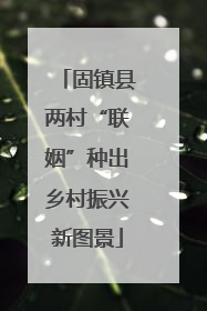 固镇县两村“联姻”种出乡村振兴新图景