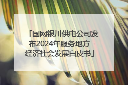 国网银川供电公司发布2024年服务地方经济社会发展白皮书
